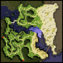 Border of Papuchica Forest