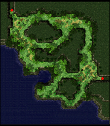 Payon Forest area 11